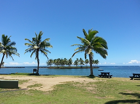 На Фиджи за сутки выявили свыше тысячи зараженных коронавирусом
