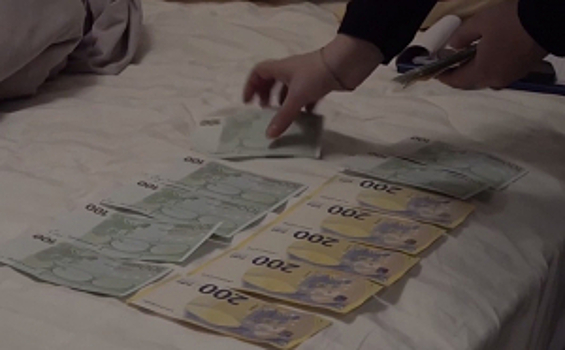 В Ленинградской области полицейские задержали подозреваемых в серии хищений недвижимости у граждан