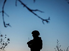 Никулин: Зеленский скрыл реальные потери украинской армии в зоне СВО