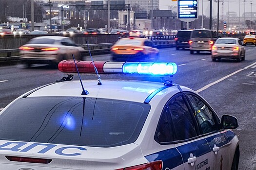 Автомобиль ДПС перевернулся из-за кошки в Москве
