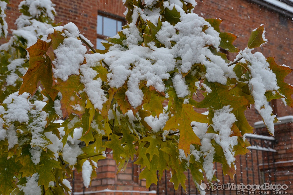 В Свердловской области начнется оттепель