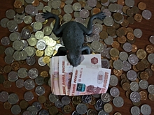 37-летний волгоградец перевел мошеннику 75 000 рублей