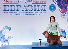 Якутские собаководы выступили на международной выставке породистых собак