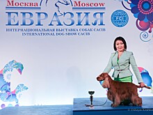 Якутские собаководы выступили на международной выставке породистых собак