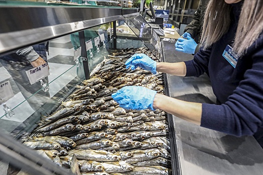 Глава Росрыболовства Шестаков рассказал, как обеспечить все население рыбой