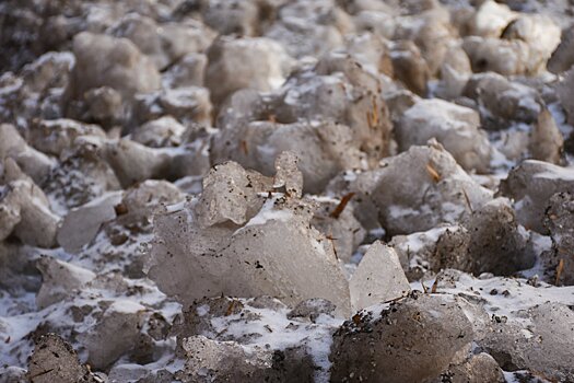 Лыткарино должны очистить от наледи в кратчайшие сроки