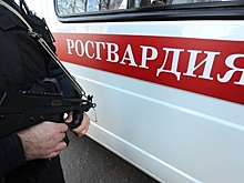 Росгвардия отреагировала на отказ сотрудников помочь пострадавшему из-за шаурмы