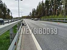 Машины откинуло на дорожное ограждение: подробности ДТП на Берлинском мосту (видео)