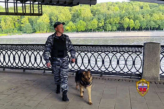 Кинолог во время службы спас 15-летнюю девушку, упавшую в Москву-реку