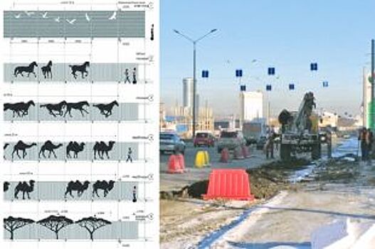 По ту сторону экрана. Чего не увидят гости саммитов ШОС и БРИКС