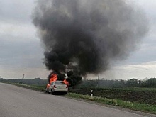 В Белгородской области дрон ВСУ ранил водителя автомобиля