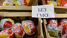 Глава Роскачества: ГМО нет ни в одном российском продукте