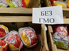 Глава Роскачества: ГМО нет ни в одном российском продукте