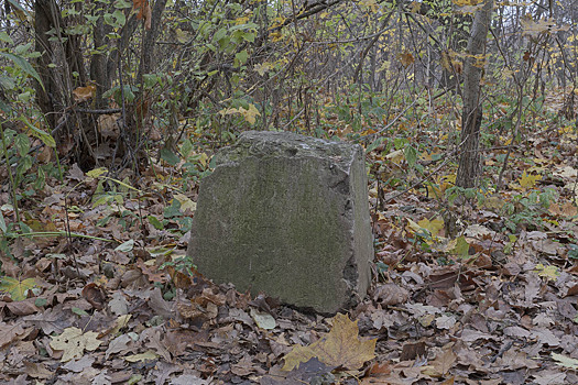 Стали известны детали уничтожения Бирюлевского кладбища в Москве