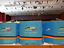 Bild: популярность АдГ в Германии сравнялась в рейтингах с партией Мерца