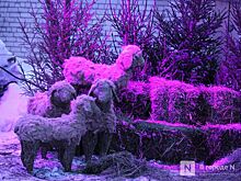 Праздник света и чудес: нижегородцы отметили Рождество в Заповедных кварталах