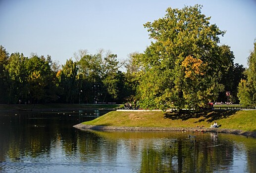 Почти две тысячи деревьев высадят в Москве до конца апреля