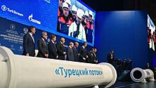 Украина оценила потери из-за "Турецкого потока"