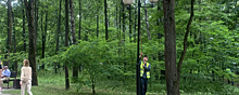 В парках Красногорска привели в порядок систему освещения