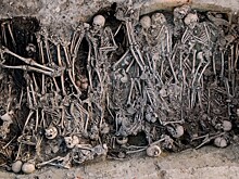 Россию ничем не напугаешь. История эпидемий