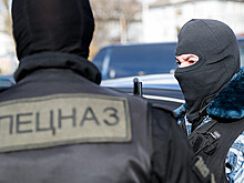 Опубликовано видео задержания группировки вора в законе