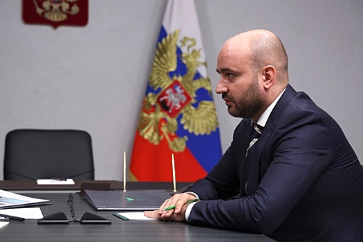 В Самарской области решили обойтись без советников при губернаторе