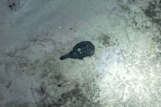 В Новосибирске медсестра выбросила из окна больницы гранату и вызвала переполох