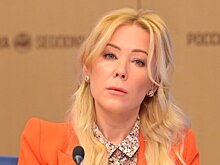 Мизулина обвинила блогера Тамаева в мошенничестве и призвала извиниться