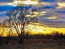 В Калужской области нашли обломки беспилотика