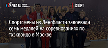 Спортсмены из Ленобласти завоевали семь медалей на соревнованиях по тхэквондо в Москве