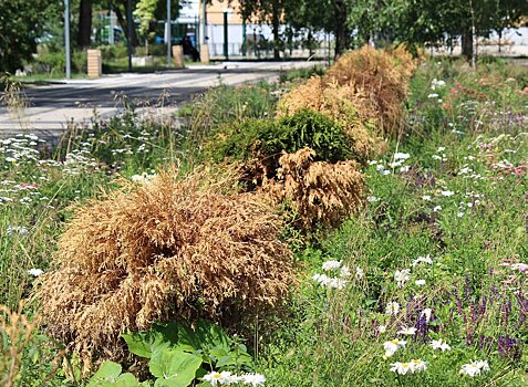 Не прошло и года: нижегородские скверы пришлось благоустраивать заново