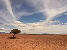 Ученые предсказали климатическую катастрофу на Земле в течение 5 лет