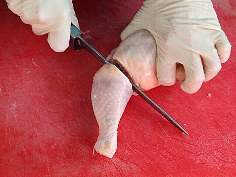 Врач предупредил об опасности мытья мяса курицы перед приготовлением