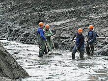 Участников янтарной отрасли в России могут объединить под единым брендом