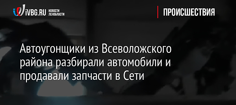 Автоугонщики из Всеволожского района разбирали автомобили и продавали запчасти в Сети