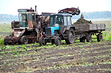 В Волгоградской области увеличили площадь земель для фермеров