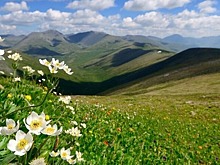 Эксперты по туризму назвали новые направления для путешествий по России