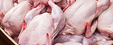 В Сахалинскую область доставят более 600 тонн мяса птицы