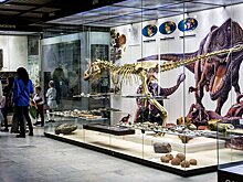 От Земли до «Флостон Парадайз»: культурные планы на неделю