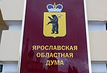 В Ярославской области чиновников наделили правом штрафовать граждан