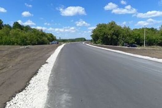 Радаев сделал чиновникам замечания за медленный ремонт дороги в Петровске