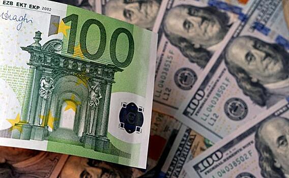 Доллар или евро: эксперт сделал прогноз о защитной валюте