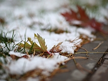 Жители Волгоградской области узнали о погоде на 10 и 11 декабря