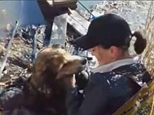 Видео до слёз: необычное спасение собаки произошло в Приморье