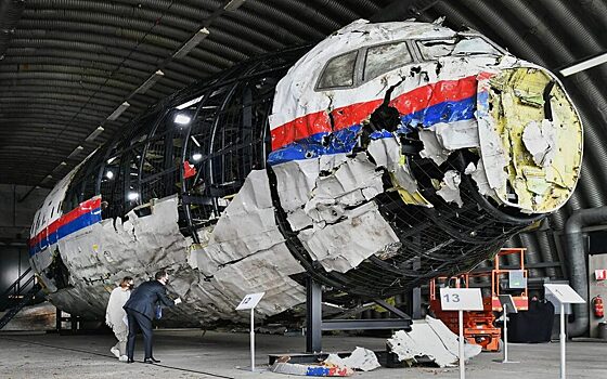 Сенатор Джабаров счел юридически слабым решение Гаагского суда по MH17