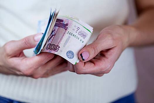Россиянам назвали способы приумножить капитал в 2025 году