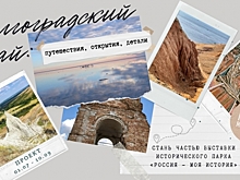 Волгоградцев пригласили к участию в народной мультимедийной выставке о родном крае