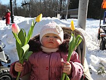 Букеты из зелени и овощей научат делать на фестивале «Мос/Еда!»