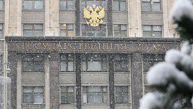 ГД ужесточила ответственность за оскорбление госсимволов