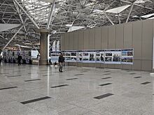 В аэропорту Внуково открылась историческая фотовыставка, посвященная его юбилею
